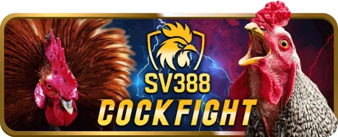 Uy tín và an toàn King78